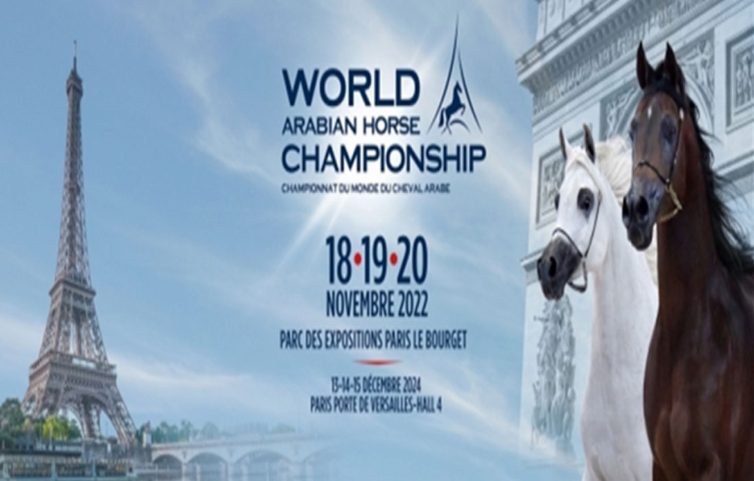 Le Championnat du Monde du Cheval Arabe Paris 2022, un véritable succès